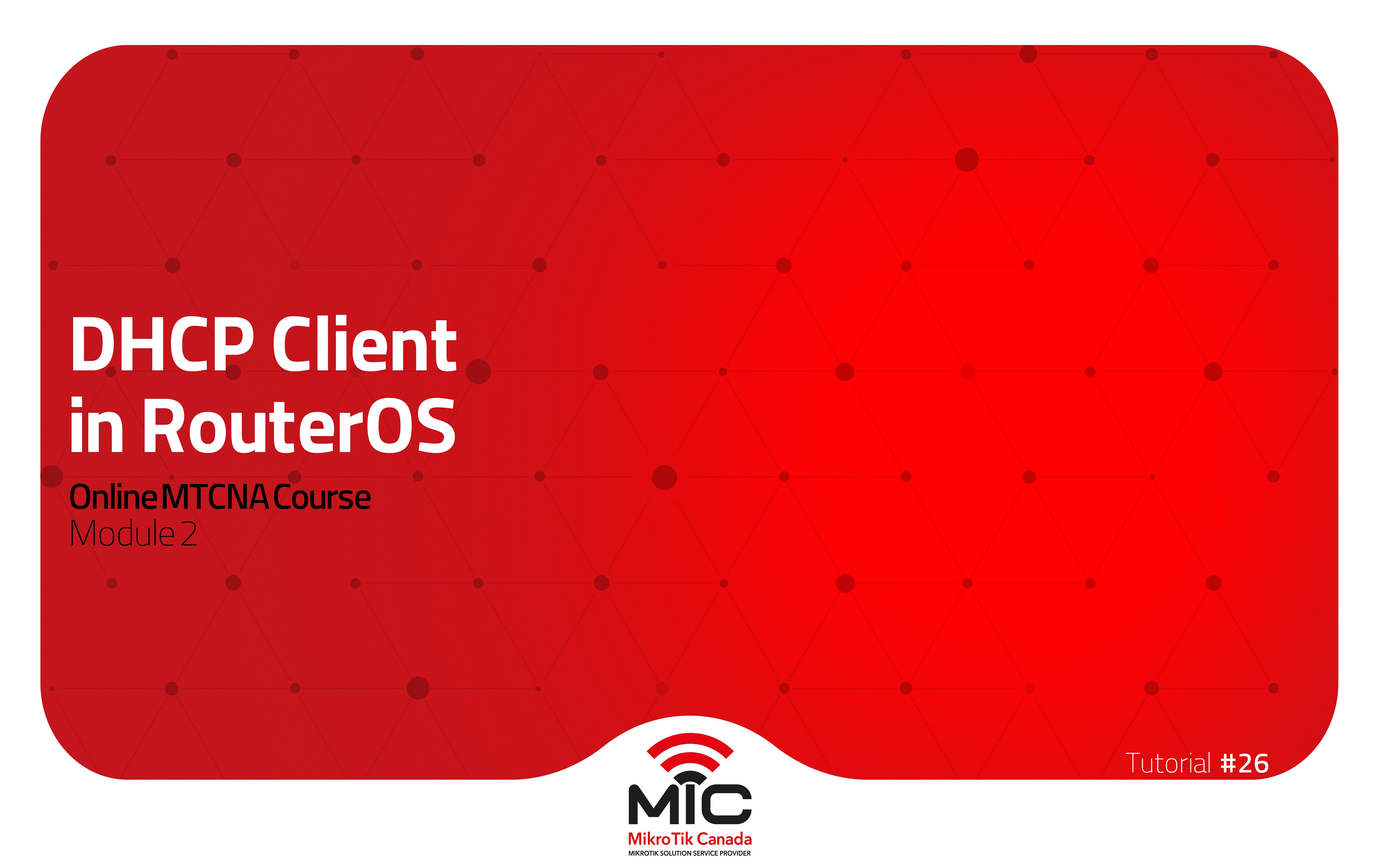 Image showcasing DHCP Client in RouterOS